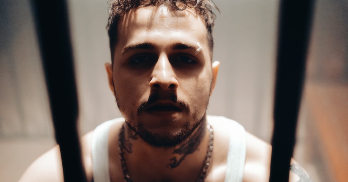 The Best Applicator Brushes for Microblading and Ombre Effects